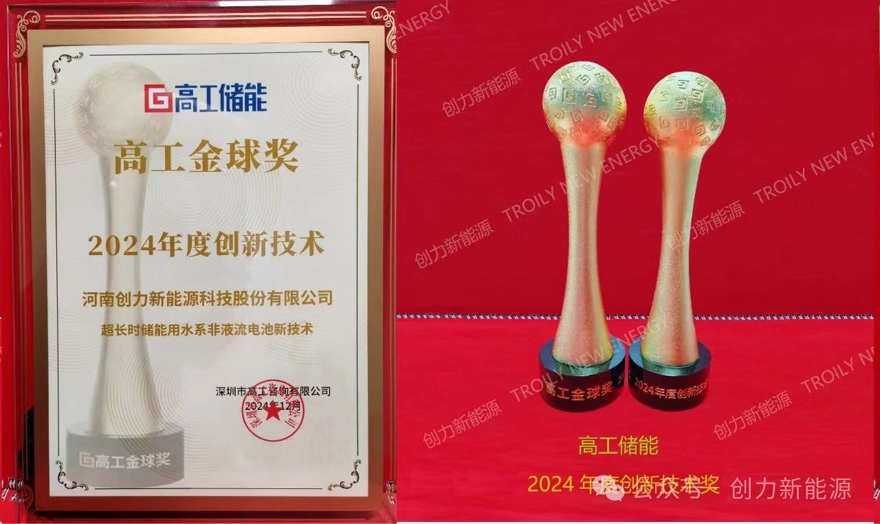 不朽情缘新能源高工会议 (4)